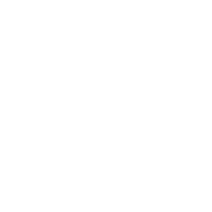 Pixelover